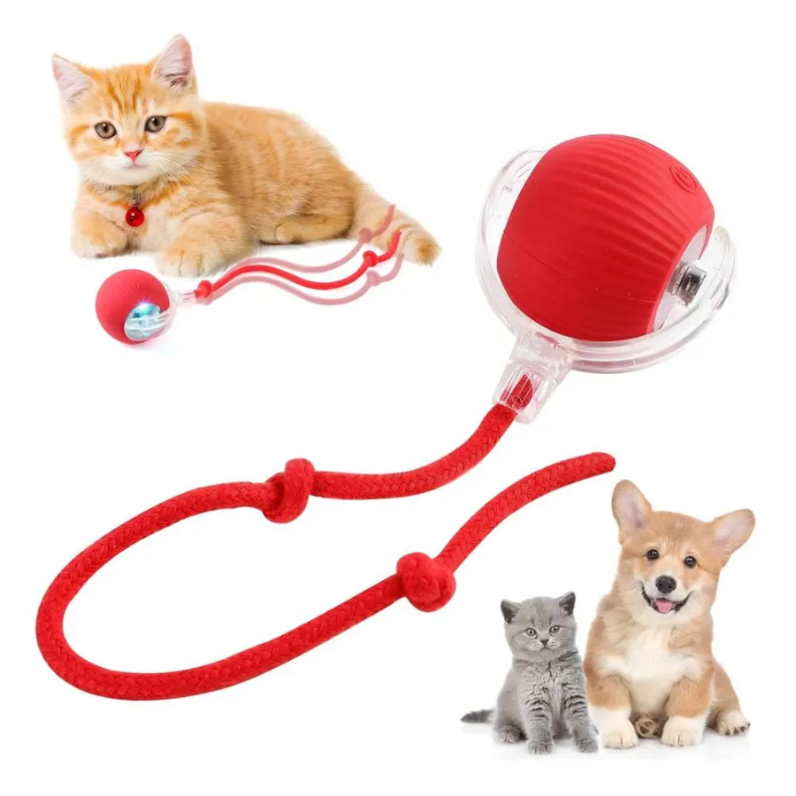 Pelota Interactiva con Cola para Mascotas 😻 Quema sus energías y mantelo feliz🐶