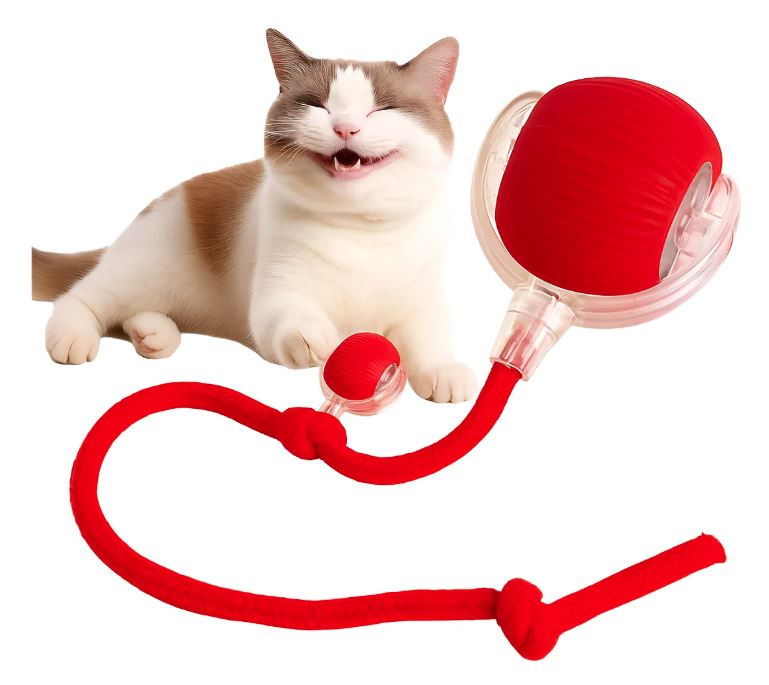 Pelota Interactiva con Cola para Mascotas 😻 Quema sus energías y mantelo feliz🐶