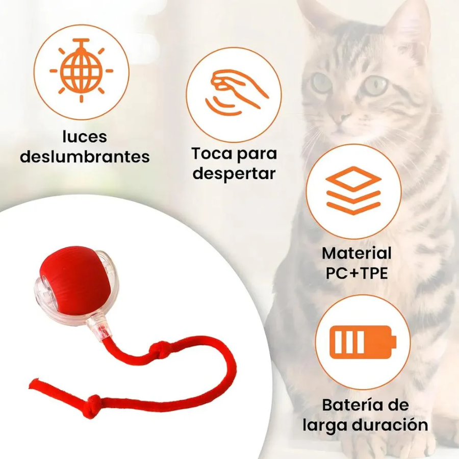 Pelota Interactiva con Cola para Mascotas 😻 Quema sus energías y mantelo feliz🐶