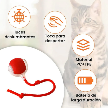 Pelota Interactiva con Cola para Mascotas 😻 Quema sus energías y mantelo feliz🐶
